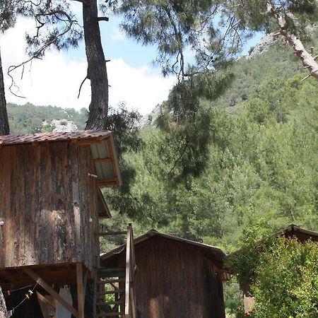 Saban Tree Houses Kumluca Exterior foto