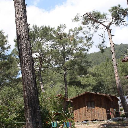 Saban Tree Houses Kumluca Exterior foto