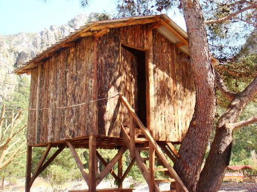 Saban Tree Houses Kumluca Exterior foto