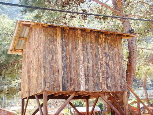 Saban Tree Houses Kumluca Exterior foto