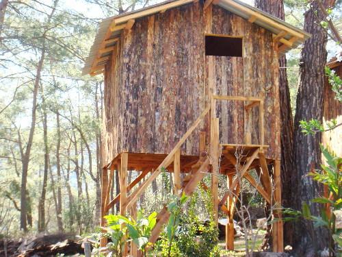 Saban Tree Houses Kumluca Exterior foto