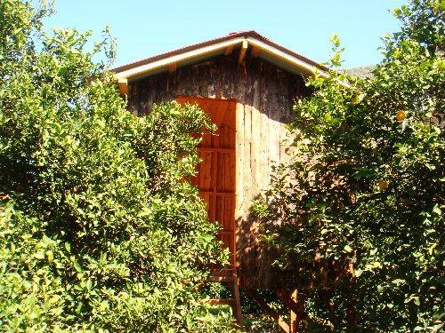 Saban Tree Houses Kumluca Exterior foto