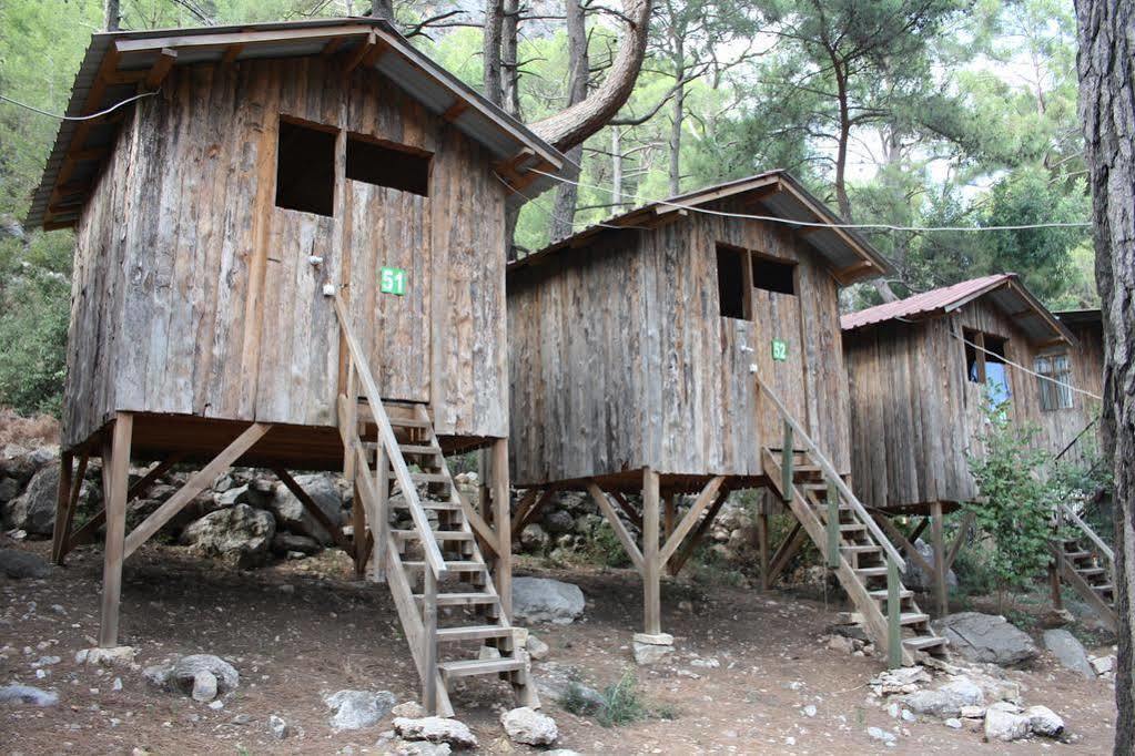 Saban Tree Houses Kumluca Exterior foto