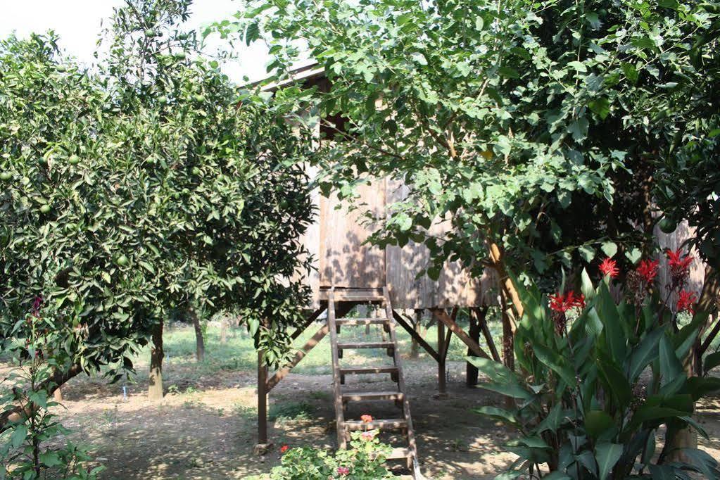 Saban Tree Houses Kumluca Exterior foto