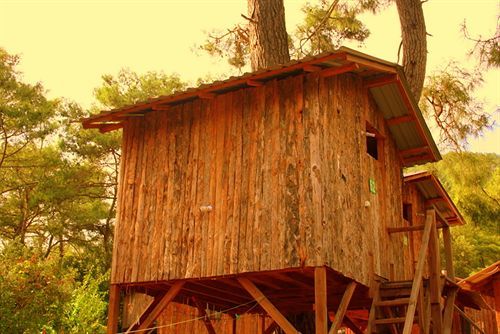 Saban Tree Houses Kumluca Exterior foto