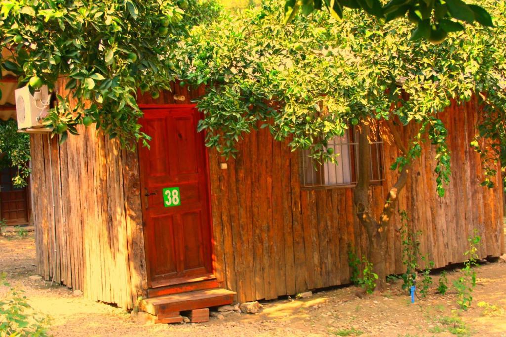 Saban Tree Houses Kumluca Exterior foto